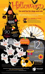 Halloween-2016-Infographic_1100